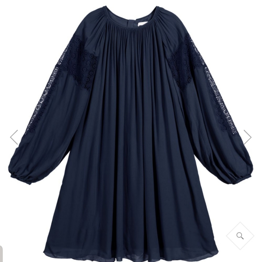 Navy embroidered sleeve dress